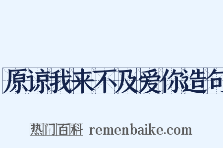 原谅我来不及爱你造句是什么意思的图片